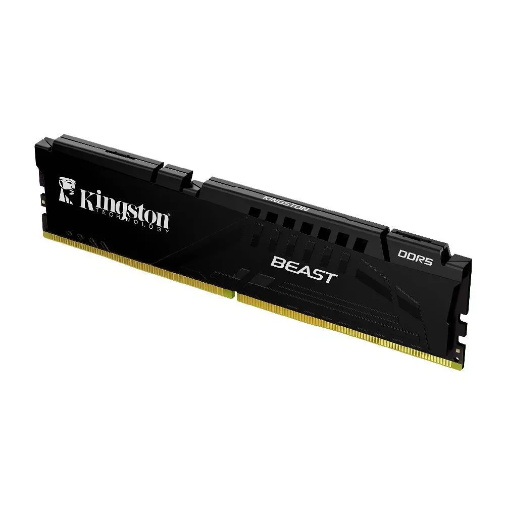 Kingston 16GB Beast EXPO/XMP 6000MHz CL30 DDR5 Single Kit Ram